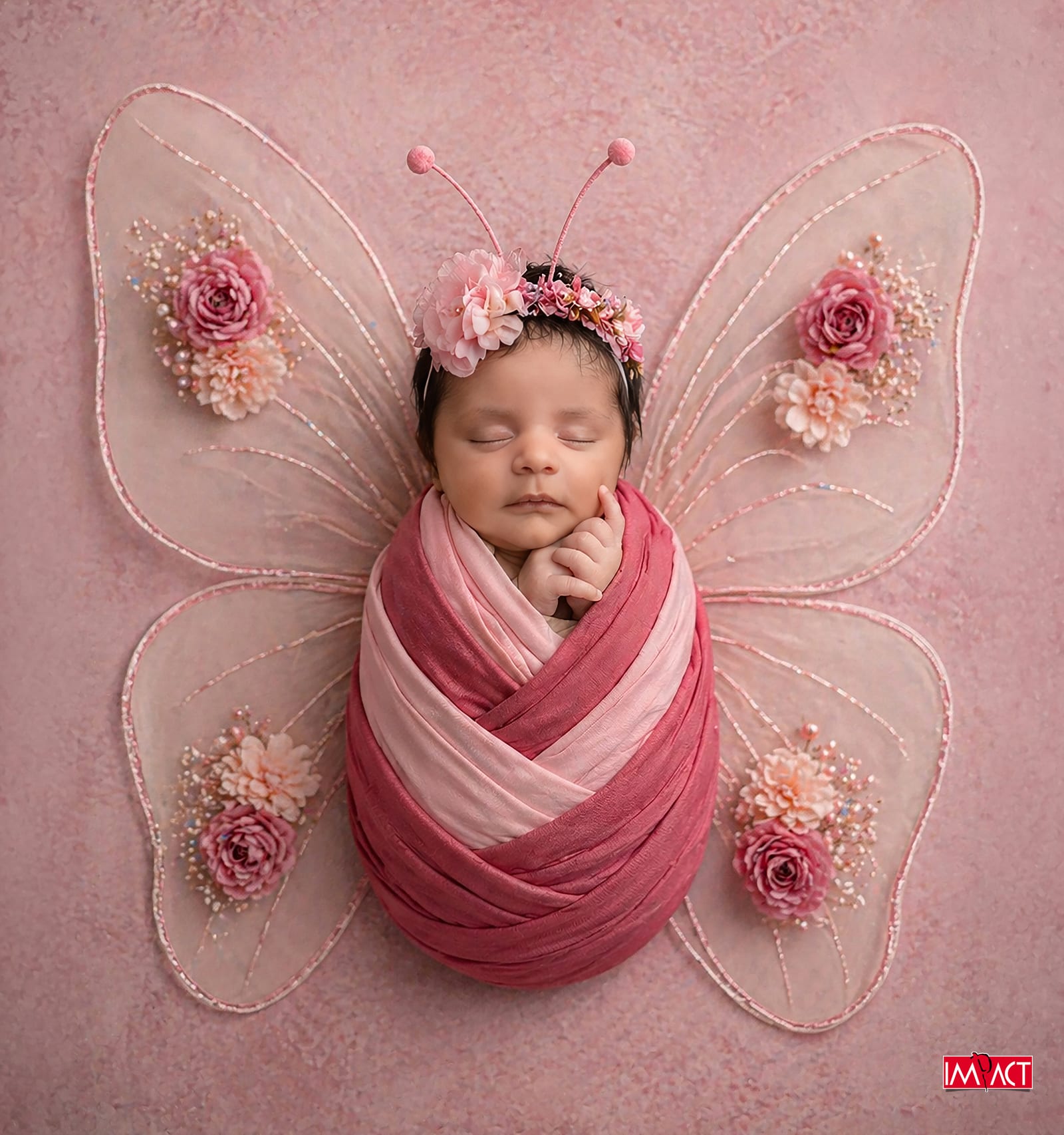 Newborn, Impact Photo Studio