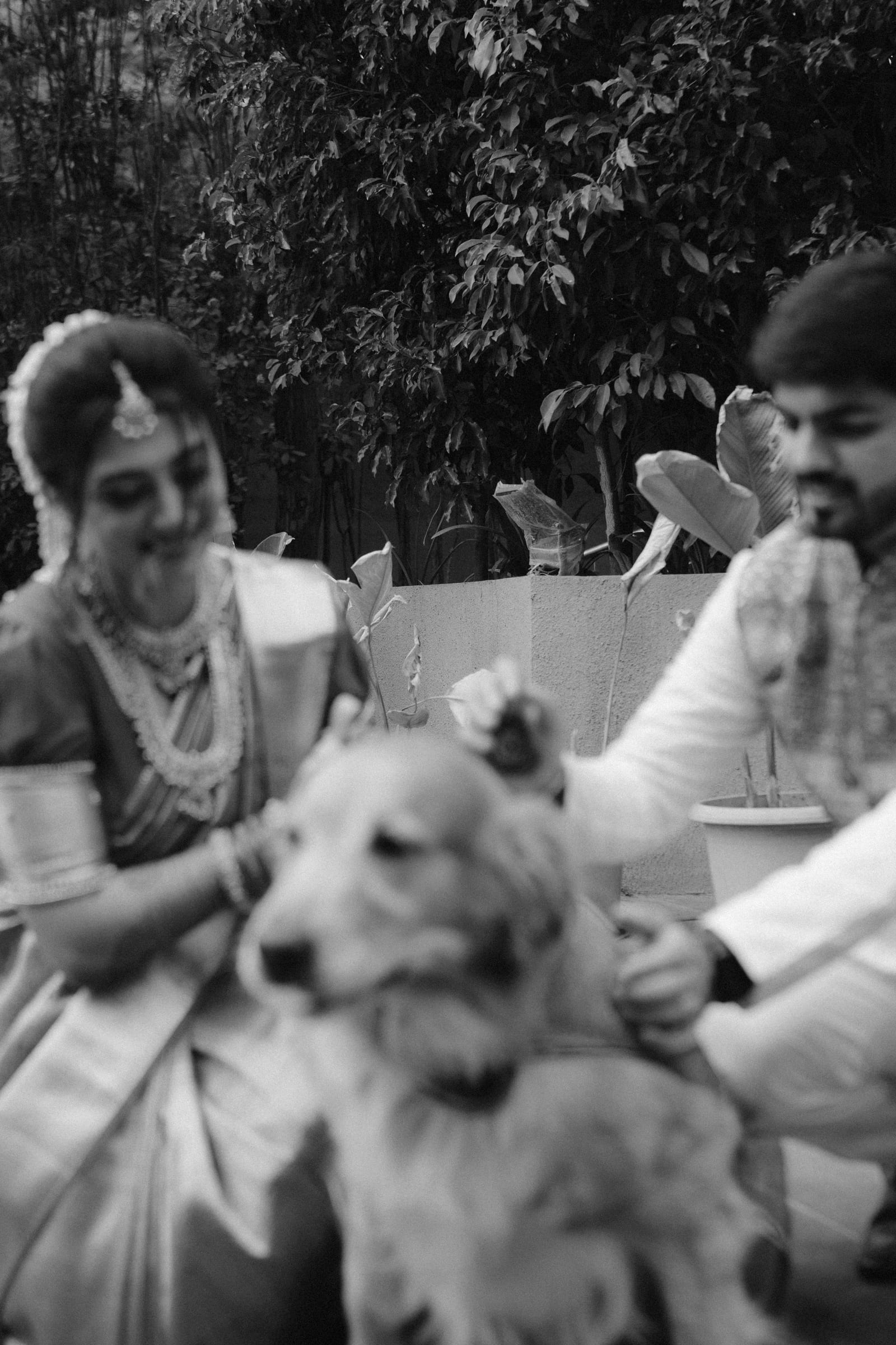 Shreya & Sanket, Wedding